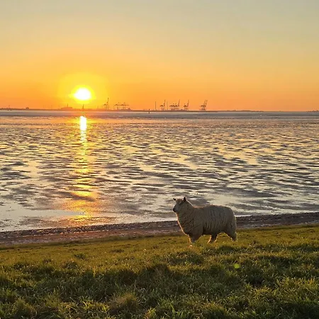 Strandgut 49 – Exklusive Penthousewohnung Mit Sauna&nah Am Strand! * Tossens