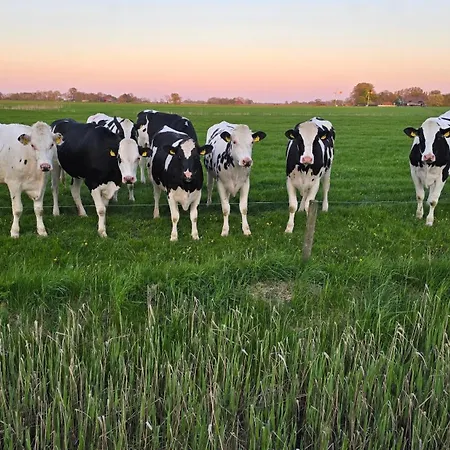 Strandgut 49 – Exklusive Penthousewohnung Mit Sauna&nah Am Strand! Apartment *