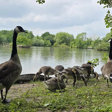 Strandgut 49 – Exklusive Penthousewohnung Mit Sauna&nah Am Strand! Apartment